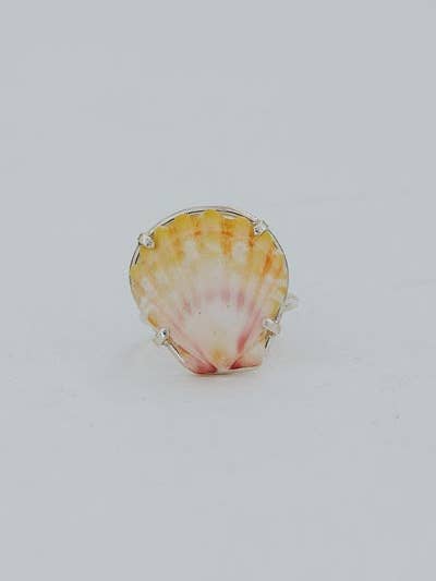 Bague Coquillage Lever de Soleil Sertie de Griffes - SS pour la vente par Wings Hawaii