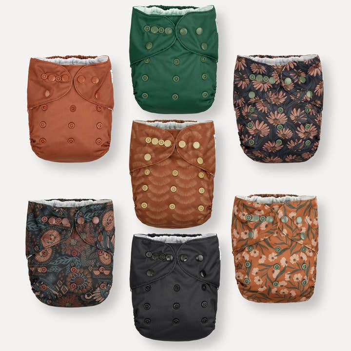 Dália AWJ por atacado de Nora’s Nursery