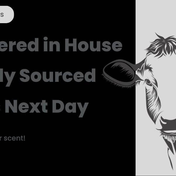 Pagel & Sons - Wholesale Body Balm/Butter - Grass-fed Whipped Tallow Body Butter Natural Moisturizer 3