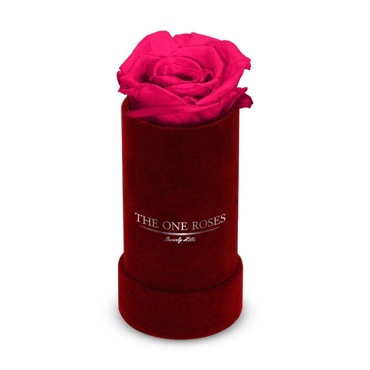 Single en daim | The One Burgundy Box pour la vente par The One Roses