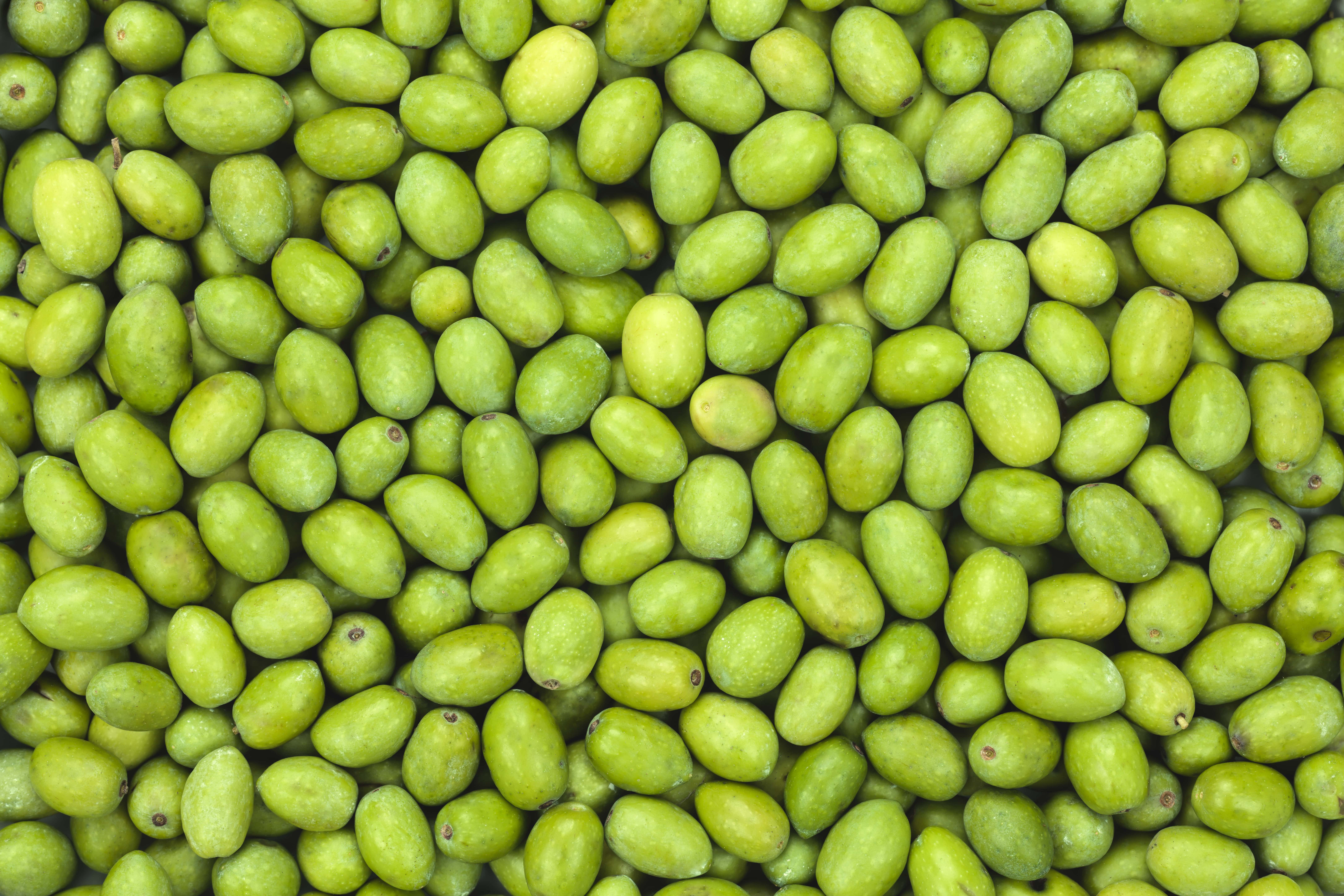 almasicily - Vente Olives - Olives vertes marinées - Seau 2,5 kg2