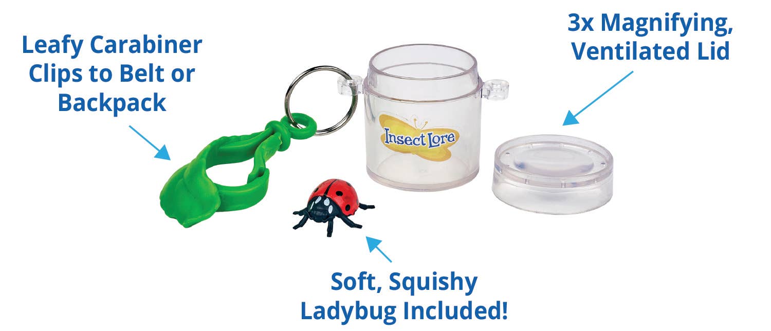 INSECT LORE - Wholesale Toy Set - Kids - Little Bug Keeper1