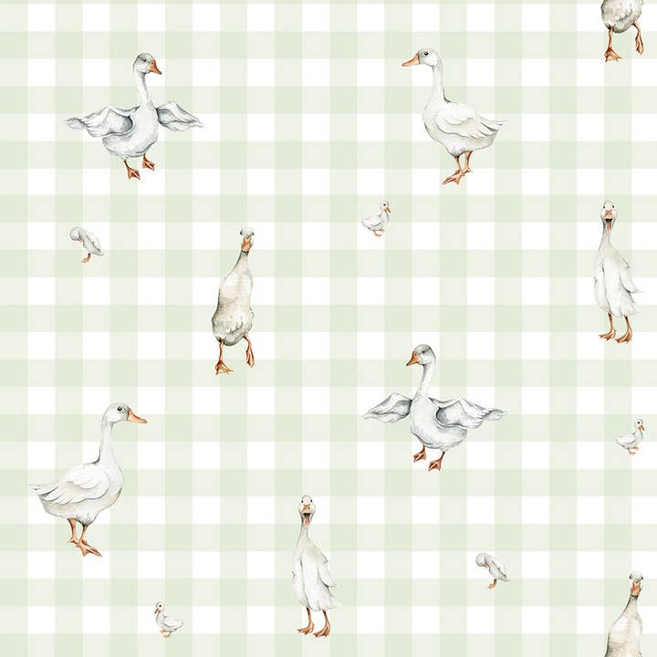 Ducks on Check Green Wallpaper Sample for wholesale by DEKORNIK