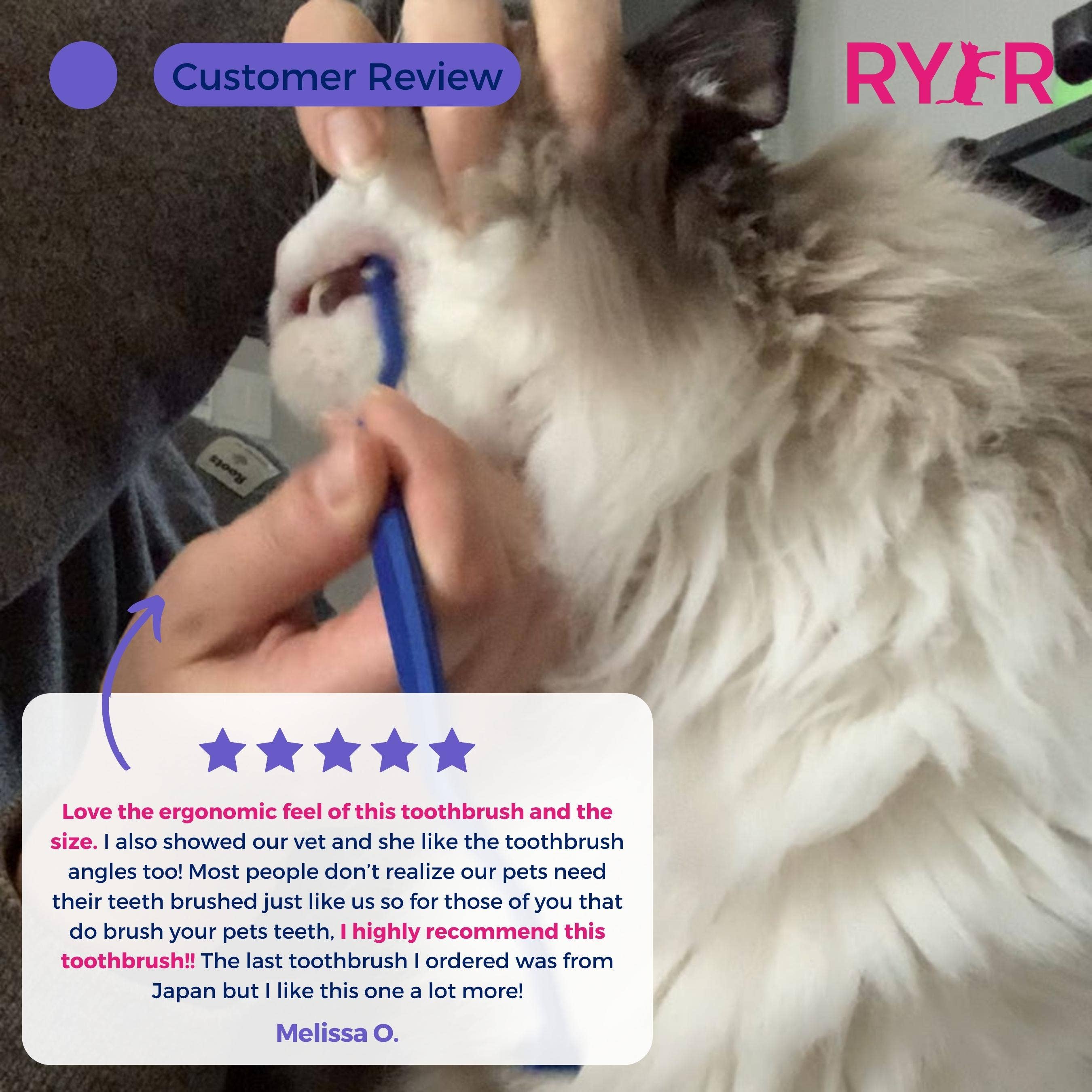 RYERCAT - Vente Brosse – chat et chien - Lot de brosses à dents à micro-tête et double face pour chat, couleurs mélangées !6