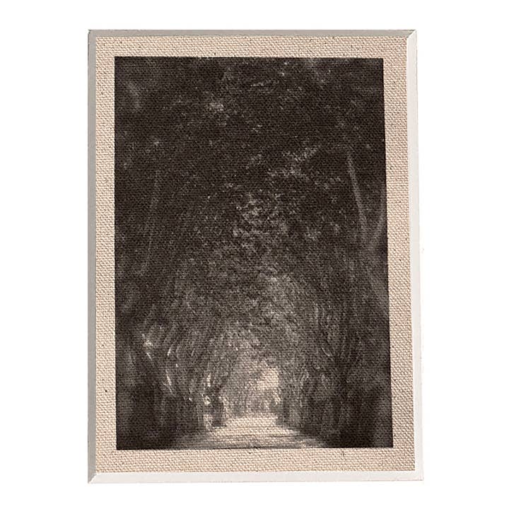 Provence #1 for wholesale by Stewart Vision