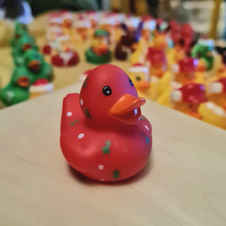 Dukki Gifts - Wholesale Bath toy – Baby - Christmas Character Rubber Ducks11