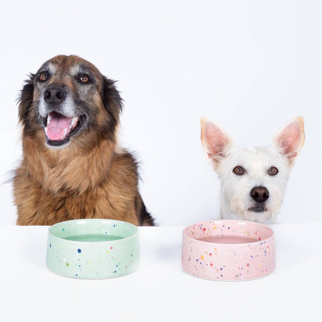 Egg Back Home - Wholesale Pet Bowl - Cat/Dog - New Party Pet Bowl 16,5cm Set 2 Pink2