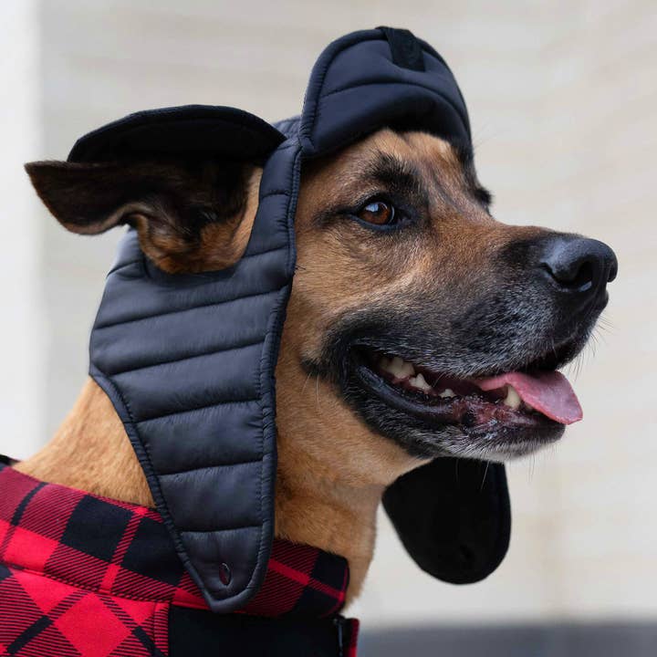Puffer Hat - Sombrero para perros para venta al por mayor de Canada Pooch