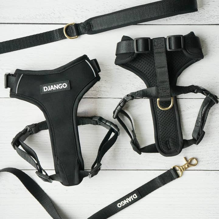 DJANGO - Wholesale Pet Harness - Dog - Adventure Dog Harness - Black6