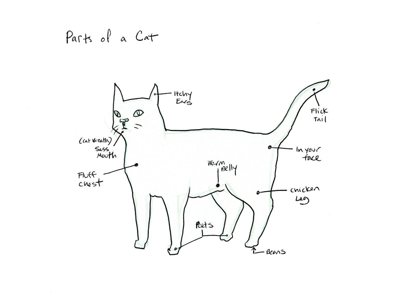 Cat Rocketship - Vente Affiche d'art - Pièces d'une impression Cat 5x71