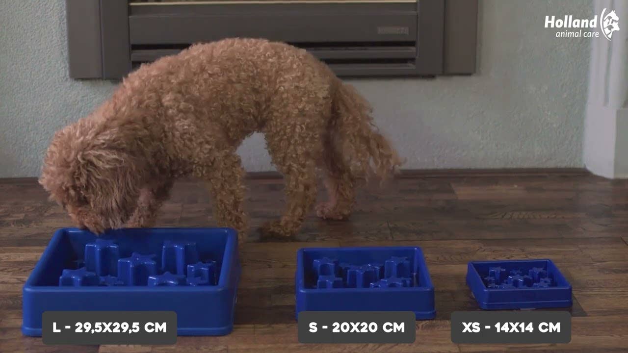 Lyserød Spise langsomt, lev længere - foderskål med stjerner, rosa, XS for engroshandel på Faire1