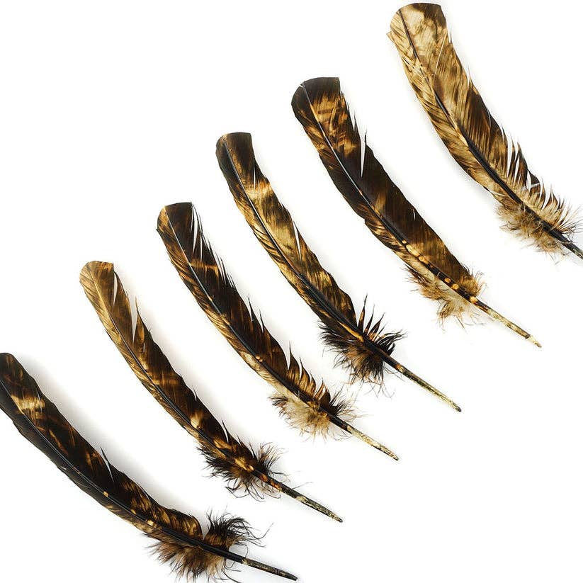 Zucker Feather Products - Wholesale Feathers - Turkey Quill Right Wing - Tie Dye - Beige & Brown2