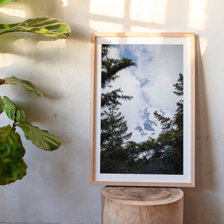 23 juin 2025 - Parc national du mont Rainier, Washington pour la vente par Jess Gibbs Photography