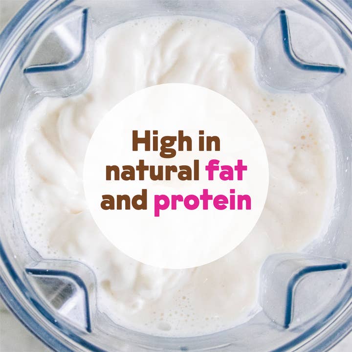 JOI - Wholesale Non-Dairy Milk - Cashew Milk Base Organic - 15 oz