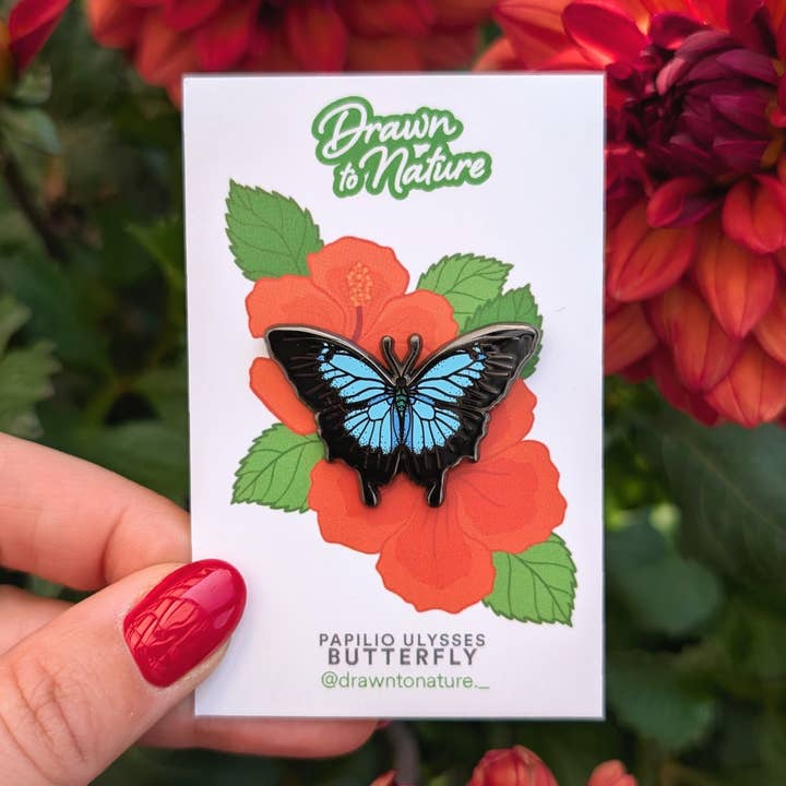 Alfiler de Mariposa - Insignia de Esmalte de Mariposas Ulysses para venta al por mayor de Drawn to Nature