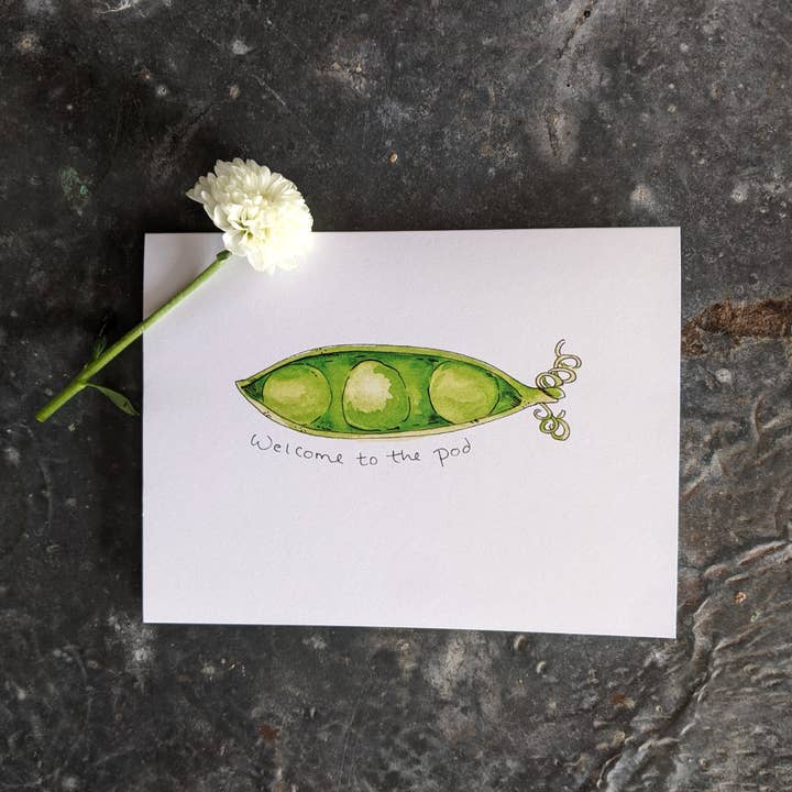 Welkom bij The Pod voor wholesale door Donkey & Lion