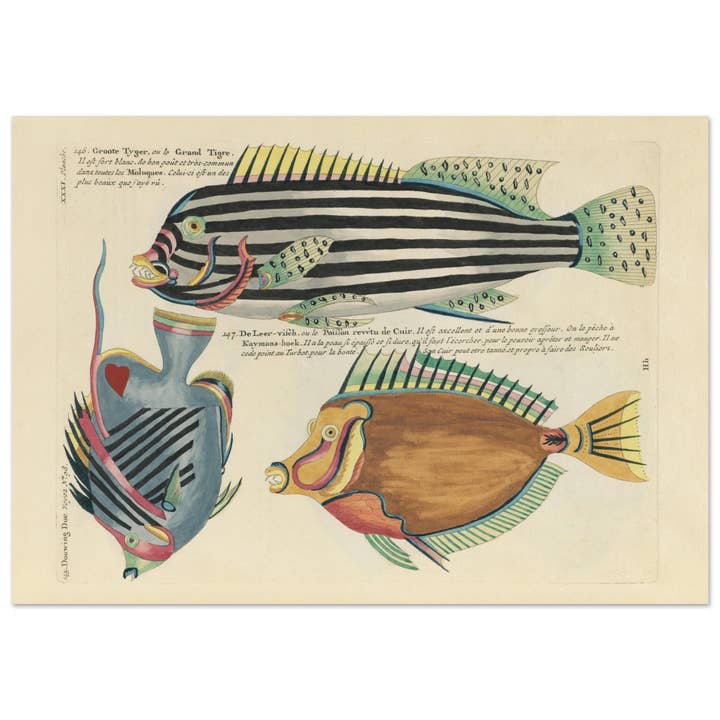 Großer Tiger für den Großhandel von Maison de Paloma