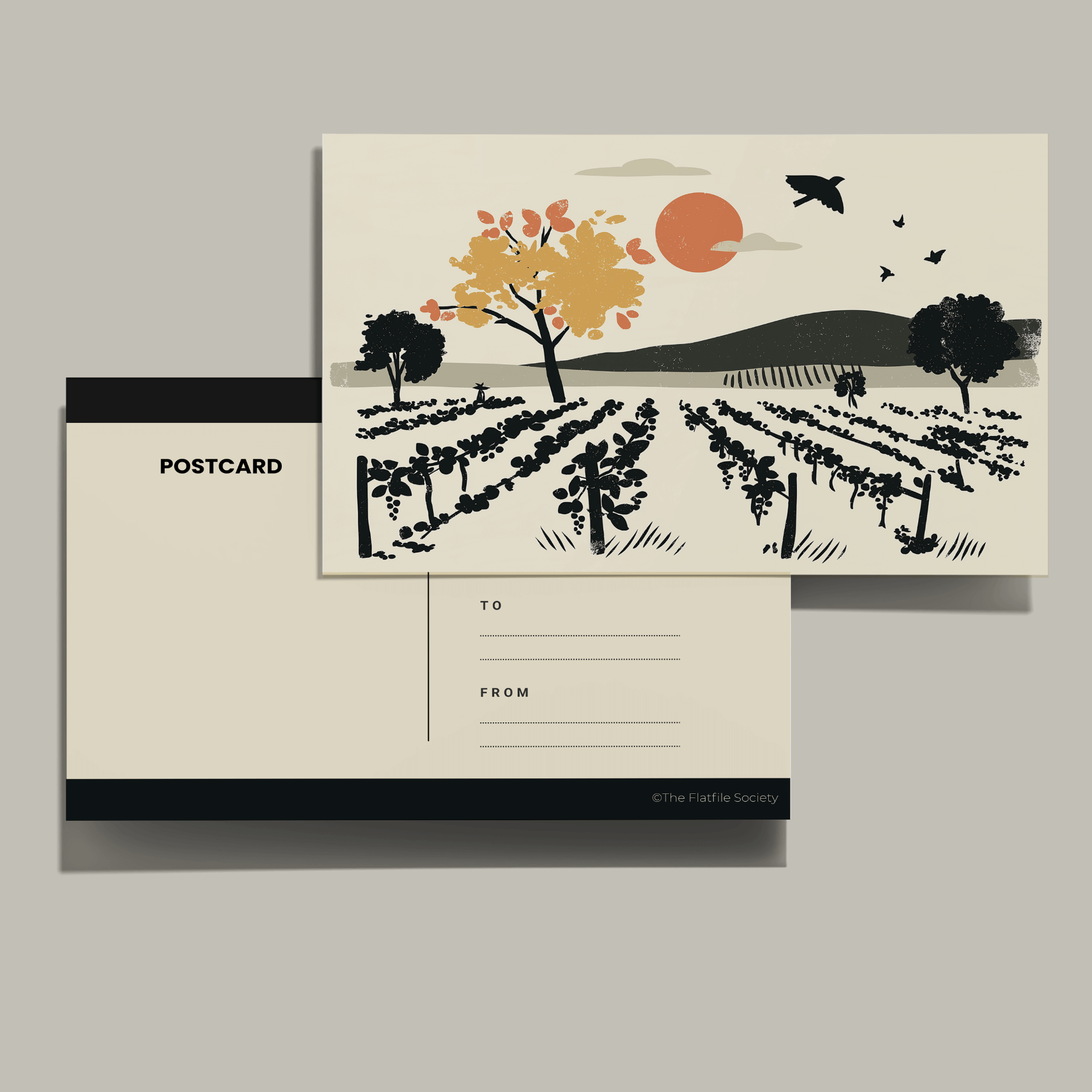 The FlatFile Society - Wholesale Postcard Set - Vineyard Postcard Set – Pack of 252