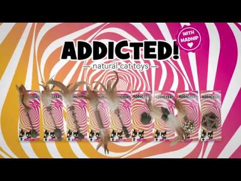 Hofman Animal Care - Vendita all'ingrosso Giocattolo - Gatti - Gioco per gatti Verslaafd con bruco e piume5