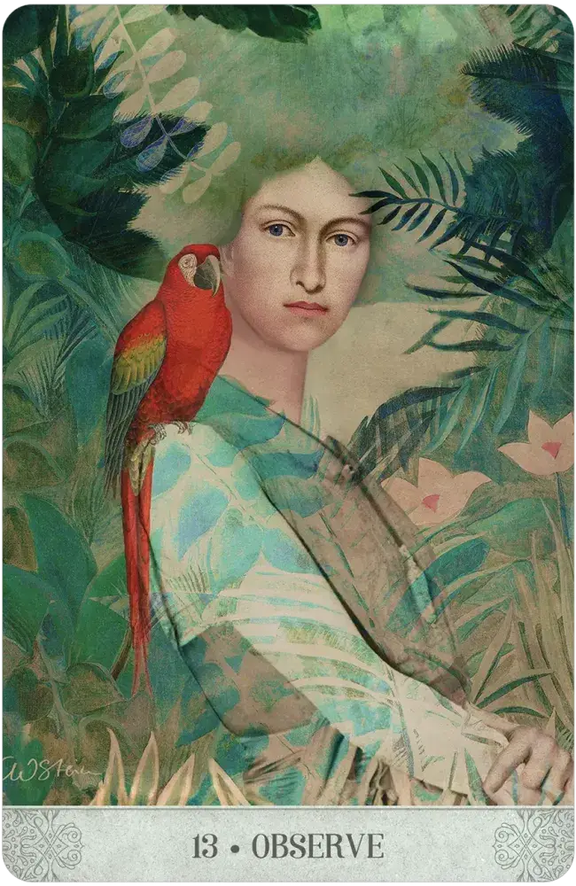 U.S. Games Systems Inc. – Cartas de tarô por atacado – Oráculo Sonhos Botânicos5