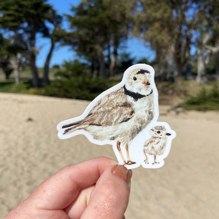 Brush & Bark - Wholesale Sticker - Piping Plovers Sticker1