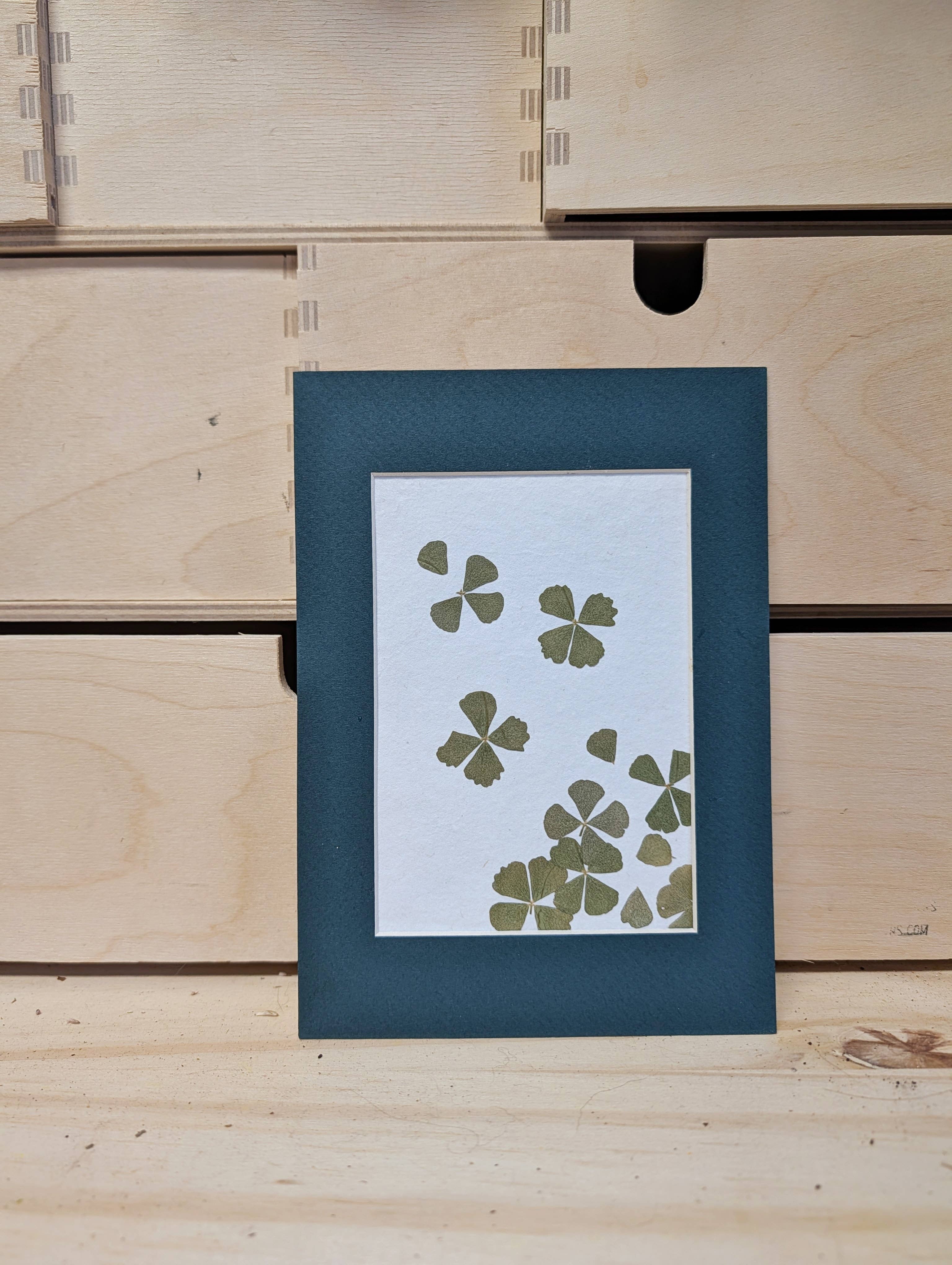 Reclaimed Gardens - Wholesale Art Print - Mini Matted Florals2