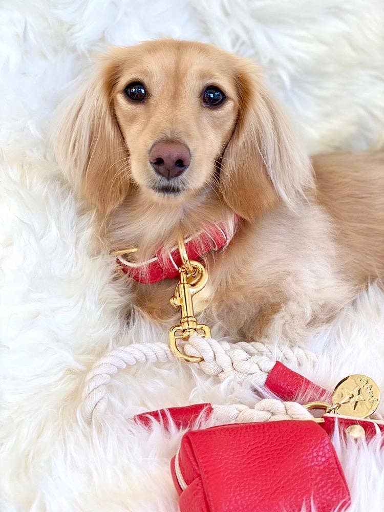 PoisePup - Wholesale Pet Collar - Dog - COLLAR - MELTING HEARTS3