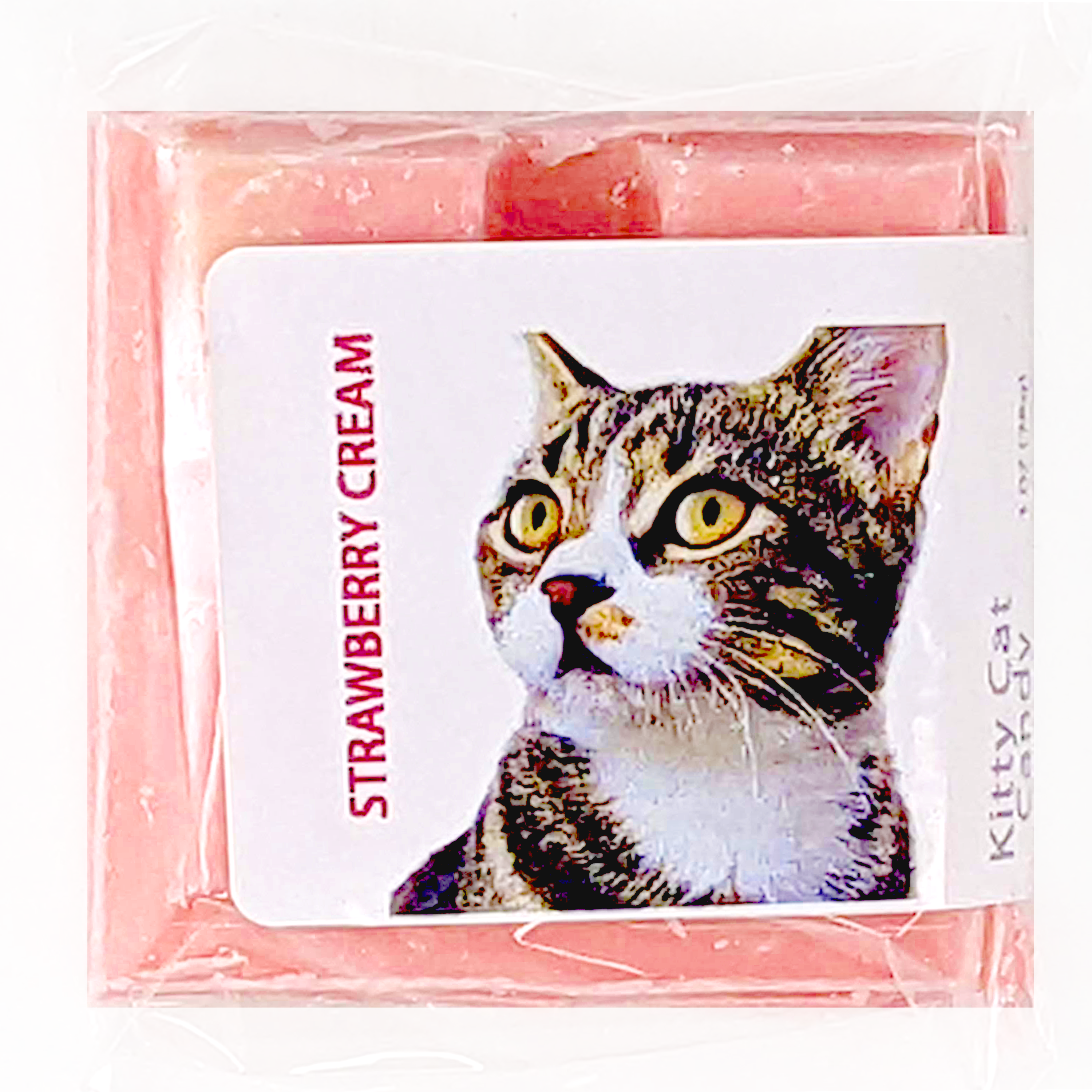 Holy Chocolate - Wholesale Chocolate Bar - Kitty Cat Candy - Strawberry - 1 OZ0