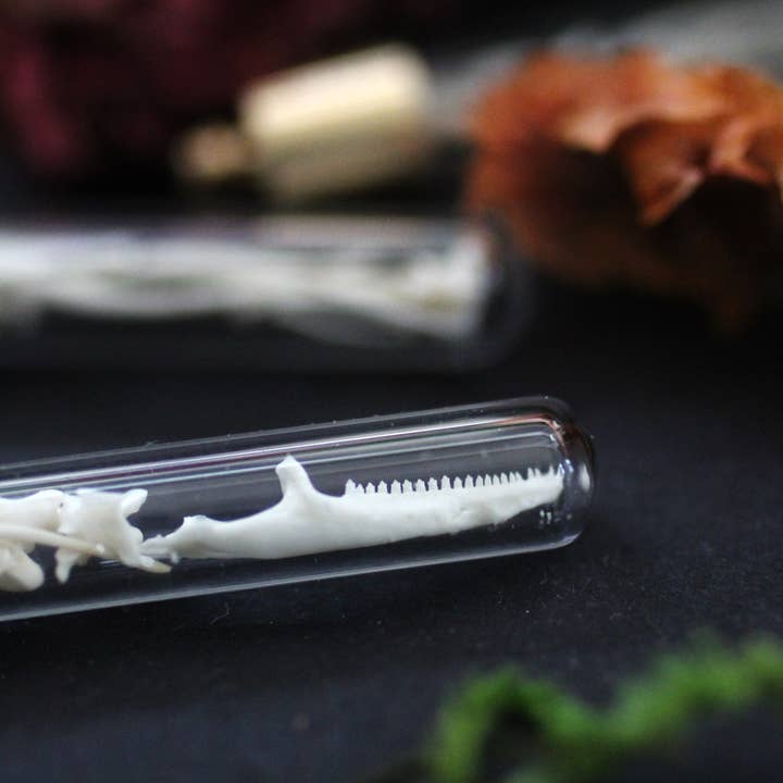 Kitty Bomb Curios - Wholesale Pendant/Charm Necklace - Bone Vial Necklaces | Oddities jewelry mini glass jar teeth1