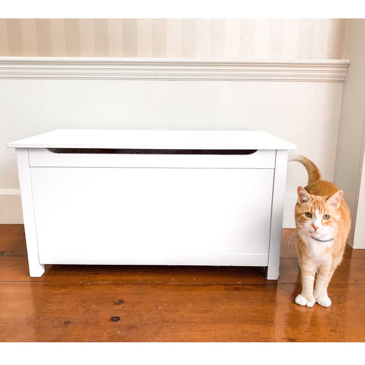 Designer Pet Products, LLC - Venta al por mayor Arenero para gatos - Arenero para Gatos con Cerramiento - A Prueba de Perros - Caja Blanca para Gatos, Estiloso