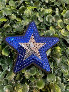 Perfect Chaos Accessories - Wholesale Patch - Blue star with sliver center iron on patch1
