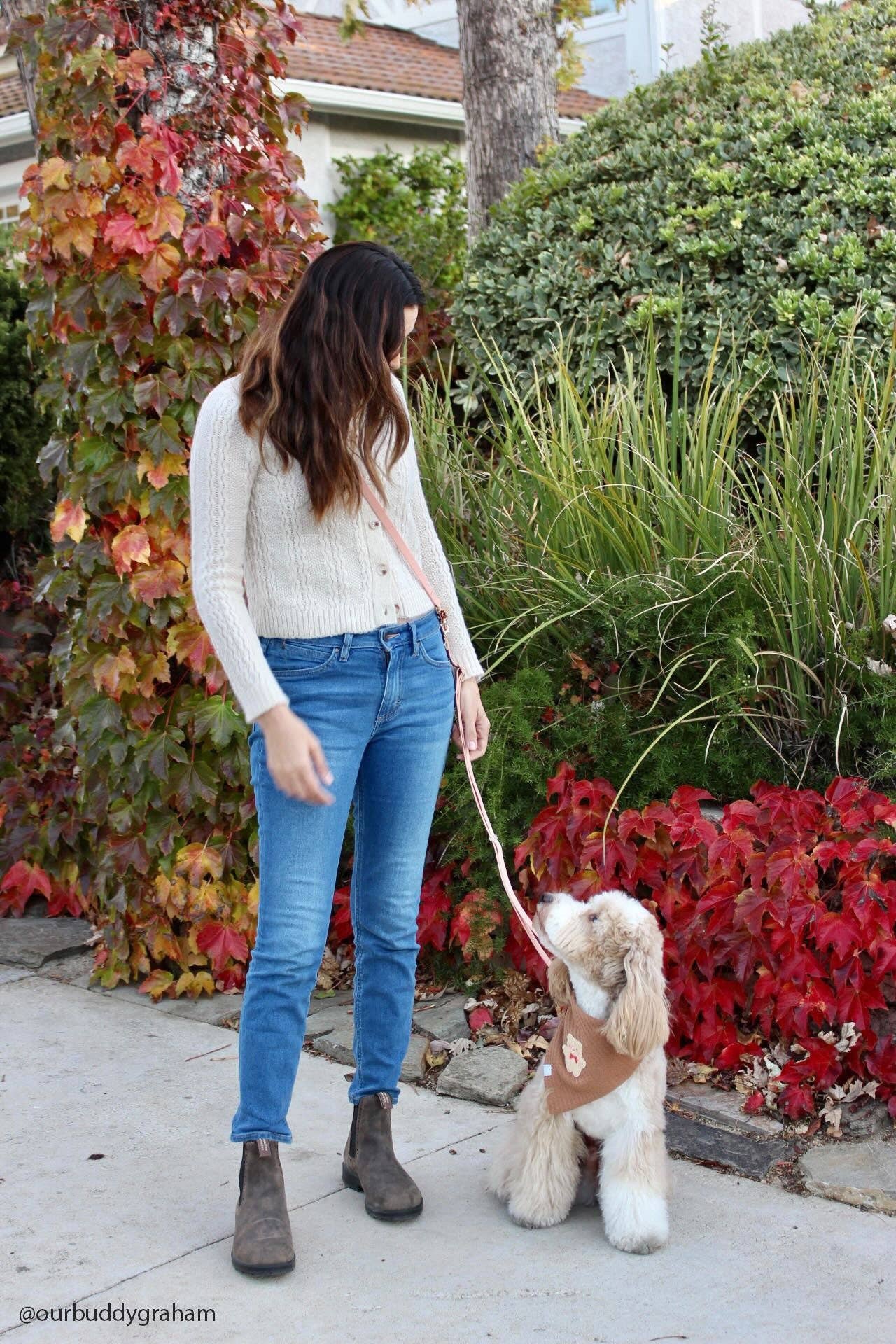 SUNNY TAILS - Wholesale Pet Leash - Dog - Chai Brown 4-in-1 Convertible Hands Free Cloud Dog Leash10