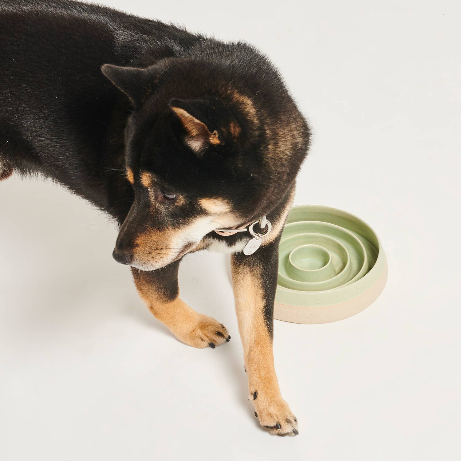 Emerald Slow Feeder Dogs for wholesale on Faire1