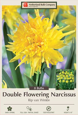 Thorsen's Greenhouse - Vente Plante - Bulbes de jonquille - Variétés uniques - Vivaces2