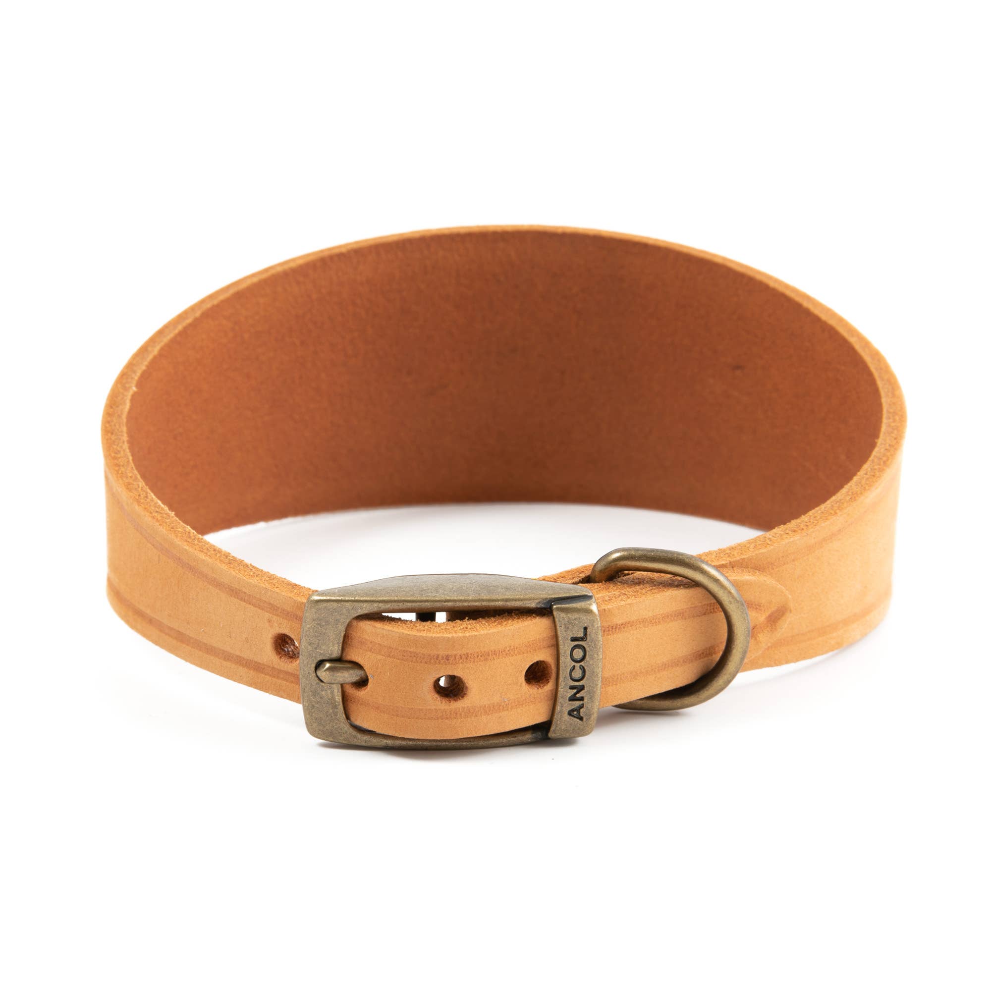 Ancol Pet Products Ltd – wholesale Pet collar – Dog – Timberwolf Leather Hound  Collar ( Size 30-34cm)6