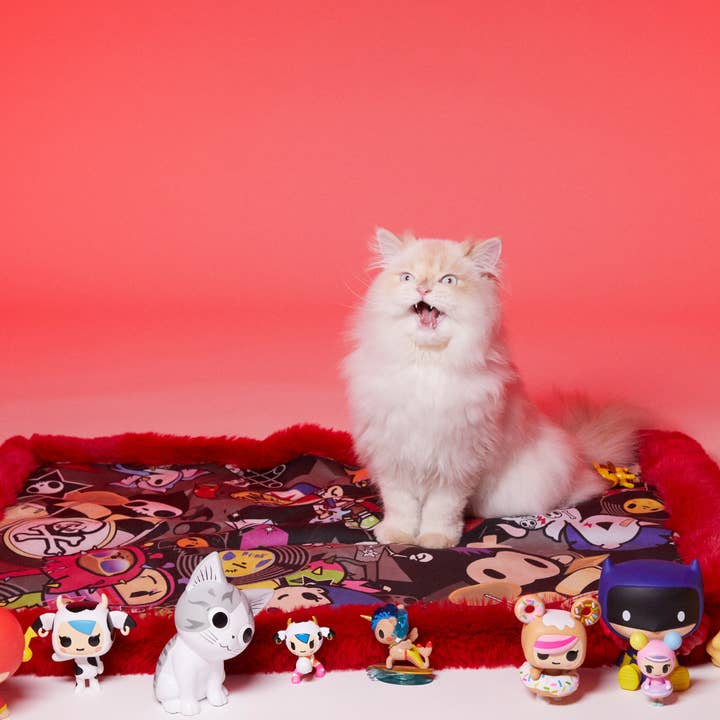 Dags att Rock Dog och Cat Rug för wholesale av Le Tapis Rouge Paris
