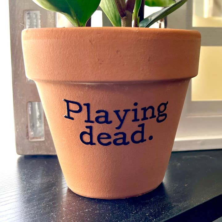 Playing Dead Terra Cotta Clay Flower Pot for wholesale by Buffalovely