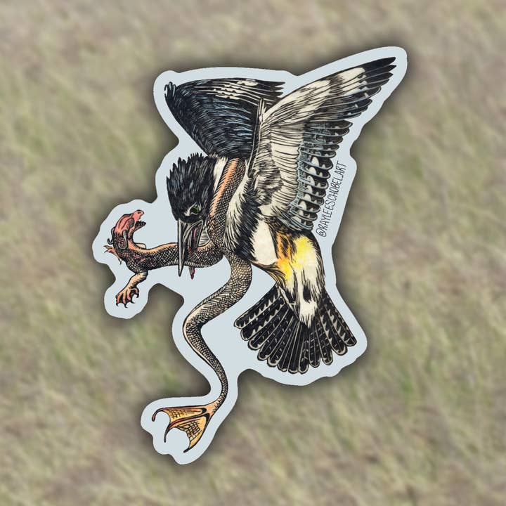 Belted Kingfisher Sticker for wholesale by Raylee Schobel