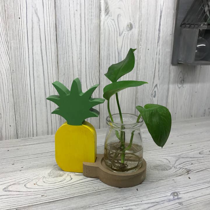 Ancient Wisdom – wholesale Plant pot – Hydroponic Home Décor - Pineapple Pot