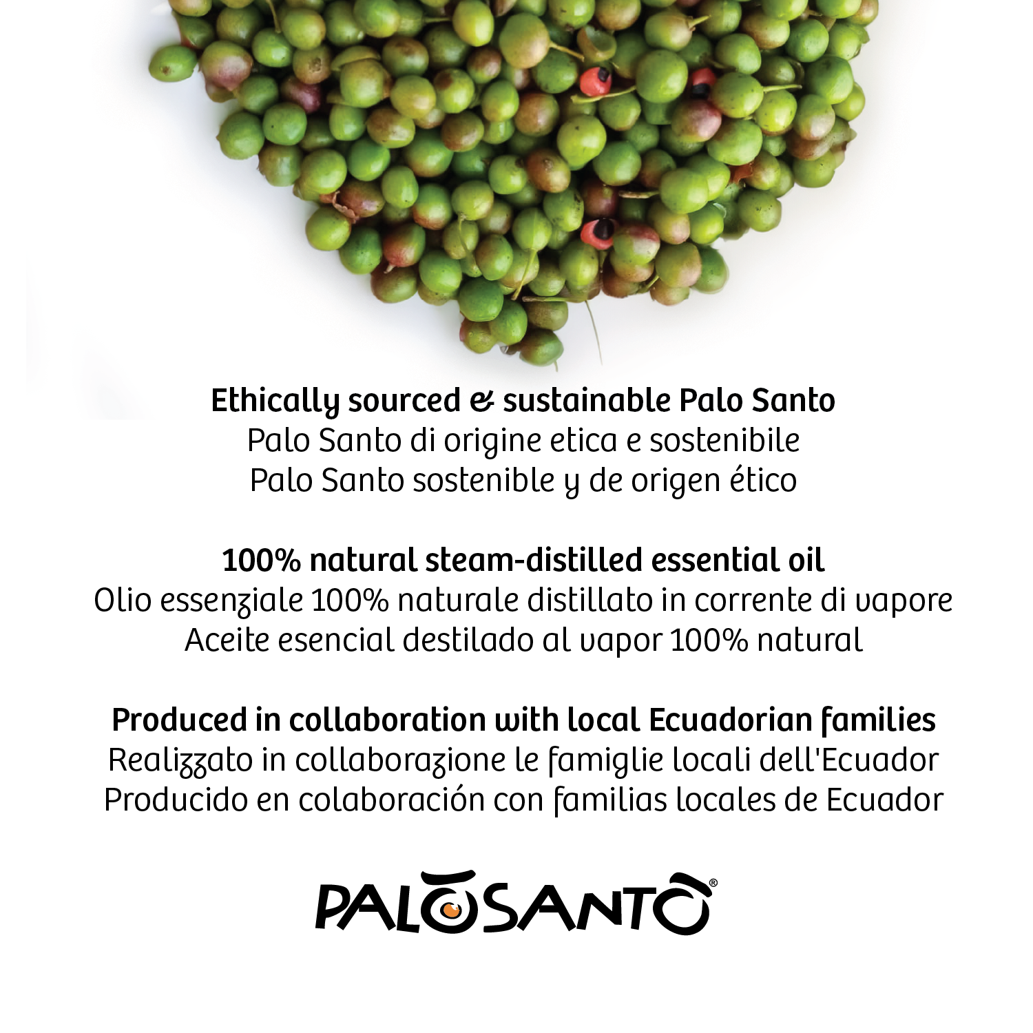 Herborea srl - Wholesale Essential Oil - Palo Santo Fruit Essential Oil - 5 ml (0,169 fl. oz)6