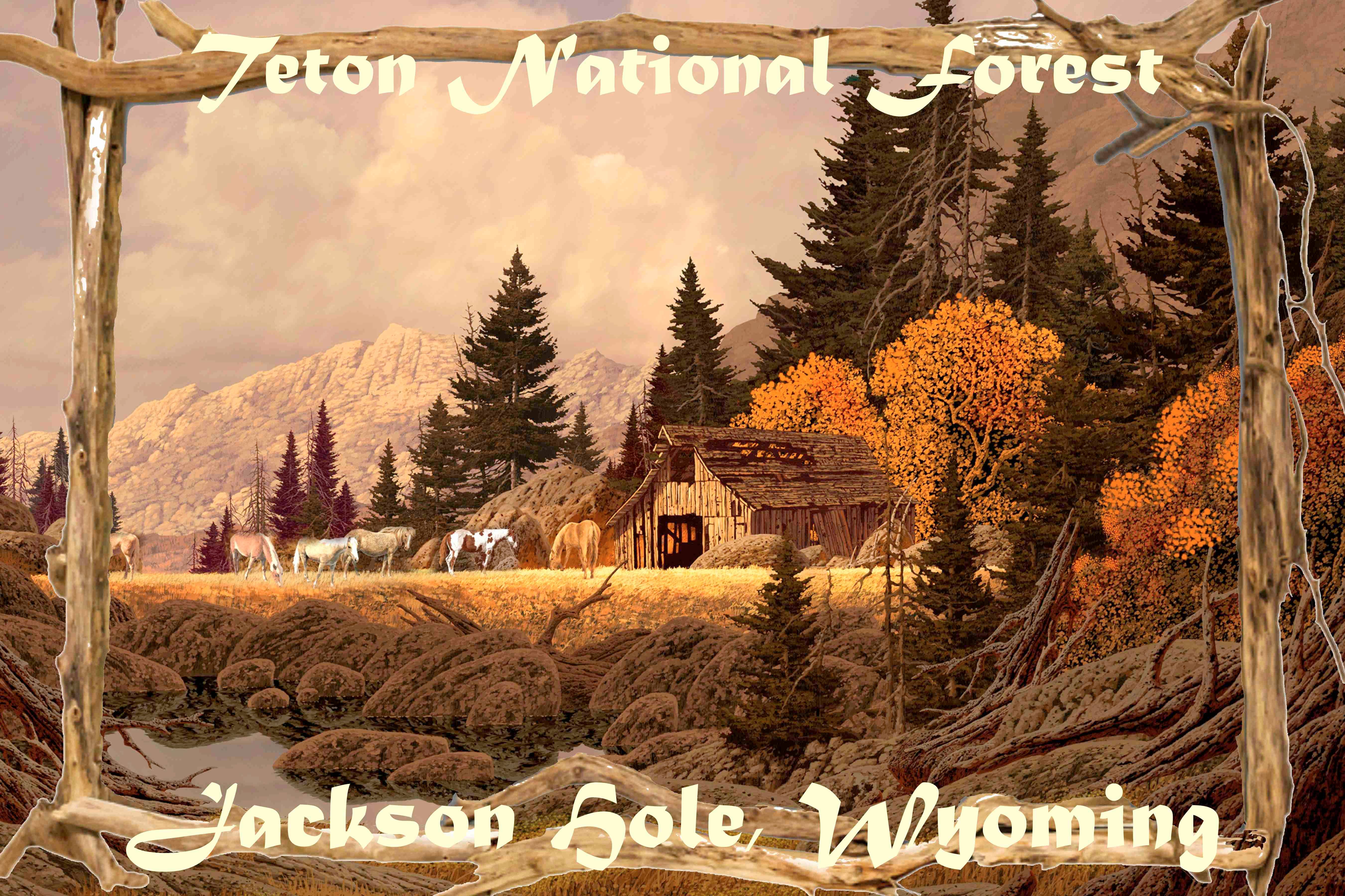 BMS BIZ - Wholesale Poster - Visit Teton National Forest Travel Poster0