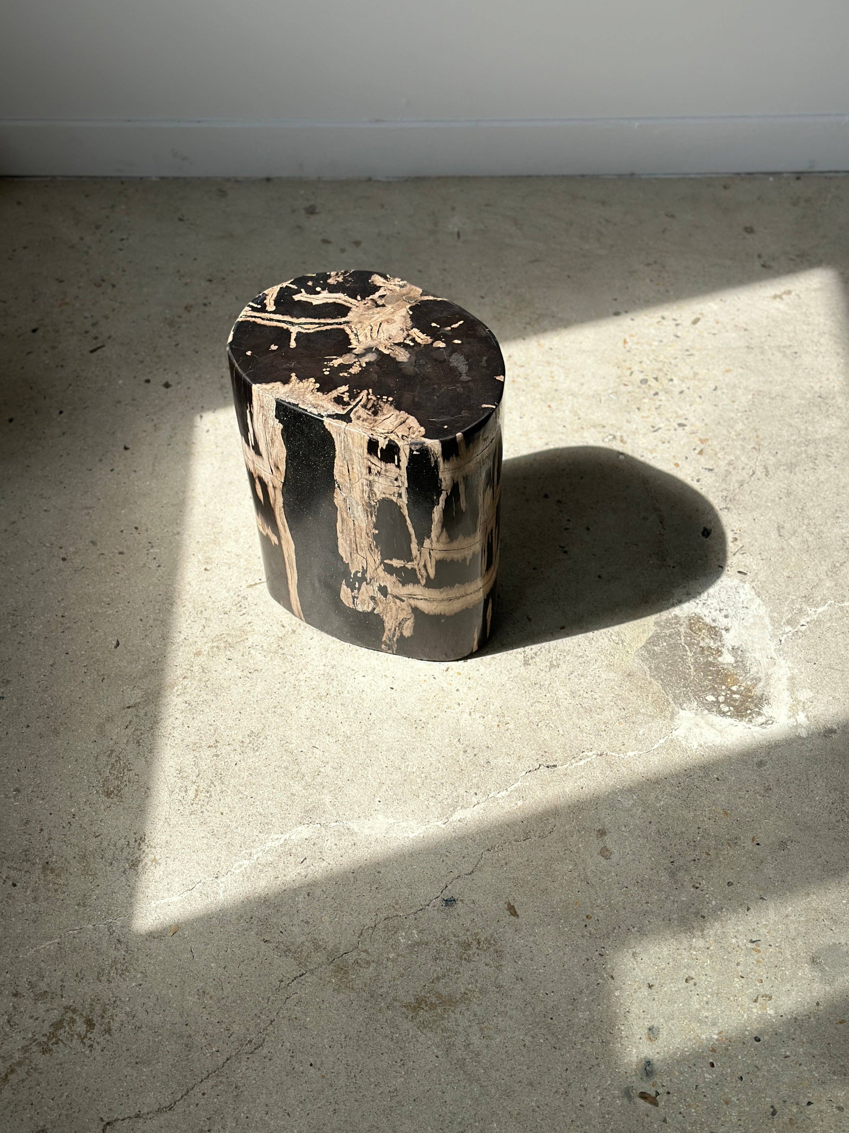 Office Objets - Vente Tables d'appoint - Table d'appoint en bois pétrifié9