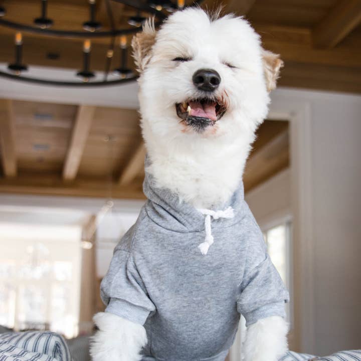 Parker & Co. – wholesale Hoodie - Hund – Tom Hund Hoodie