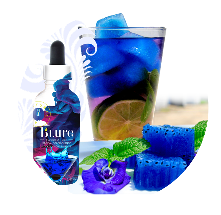 Wild Hibiscus Flower Company - Wholesale Drink Mix - B'Lure Butterfly Pea Flower Extract 3.4oz1