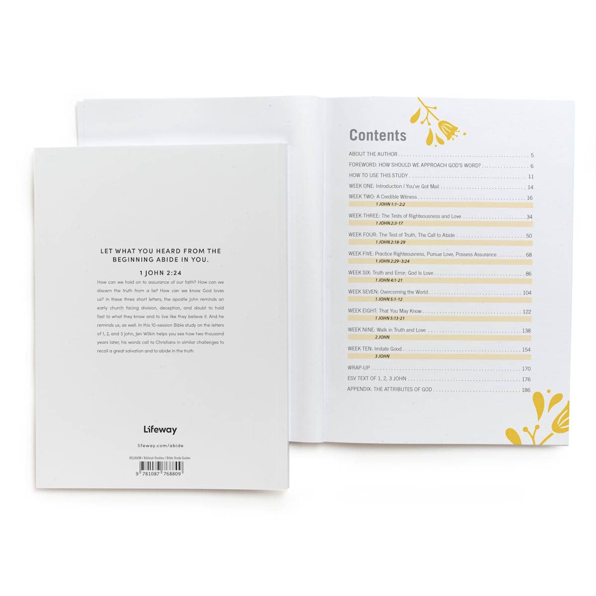 Lifeway - Wholesale Religion - Abide - Bible Study Book with Video Access2