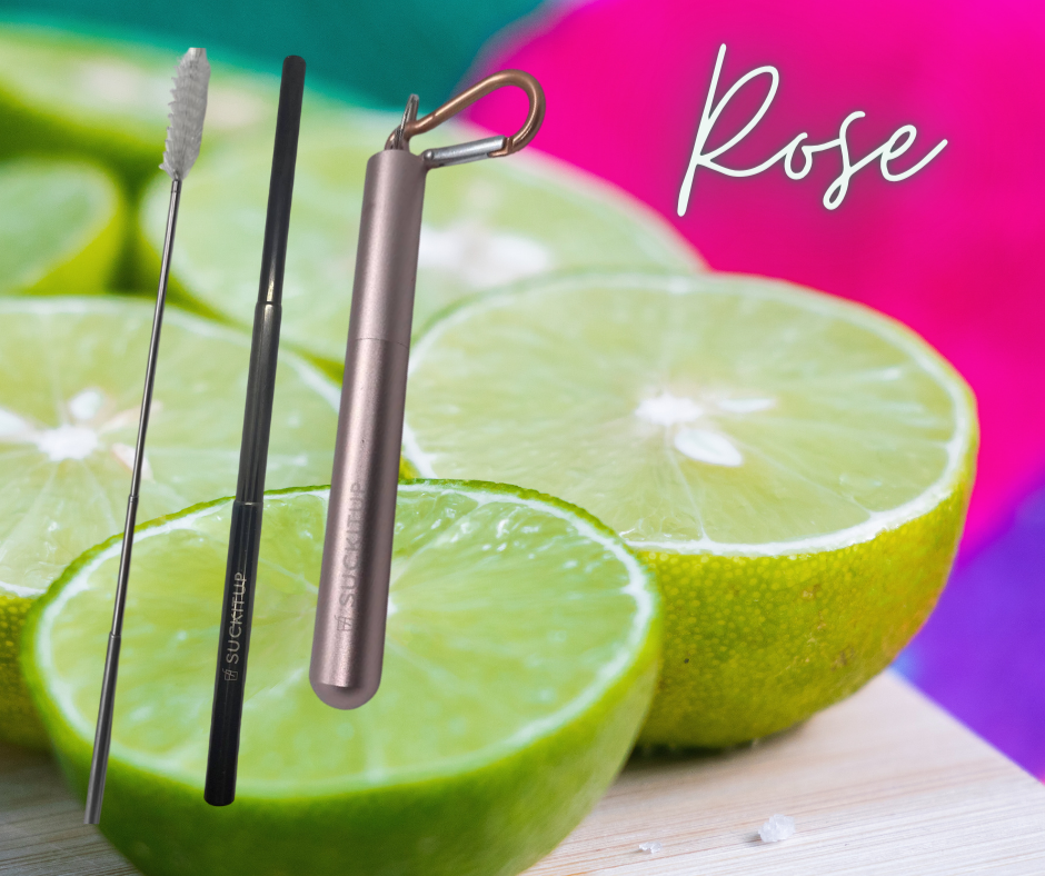 Suck It Up Straws - Vente Paille - Pailles métalliques télescopiques avec étui pour porte-clés et brosse de nettoyage49