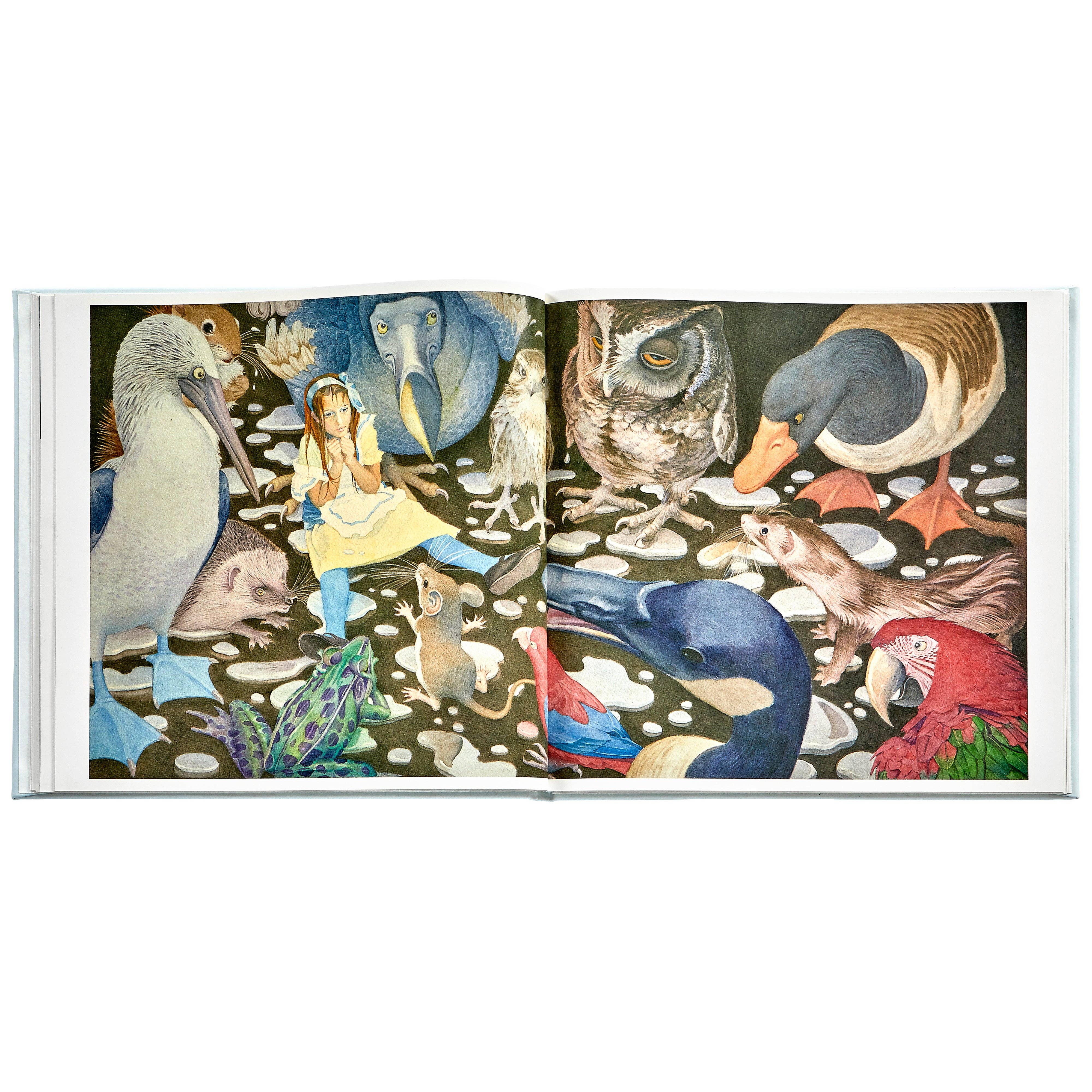 Graphic Image Inc. - Wholesale Preschool Book (3-5) - Alice's Adventures in Wonderland10