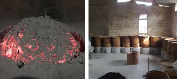 NIUKA Tea & Botanicals - Wholesale Loose Tea - Oolong Tea (roasted): Amber Jade6