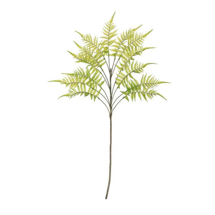 Spray Vickerman de 33,5 po pour fougères de la jungle verte, 2/sac pour la vente par Vickerman
