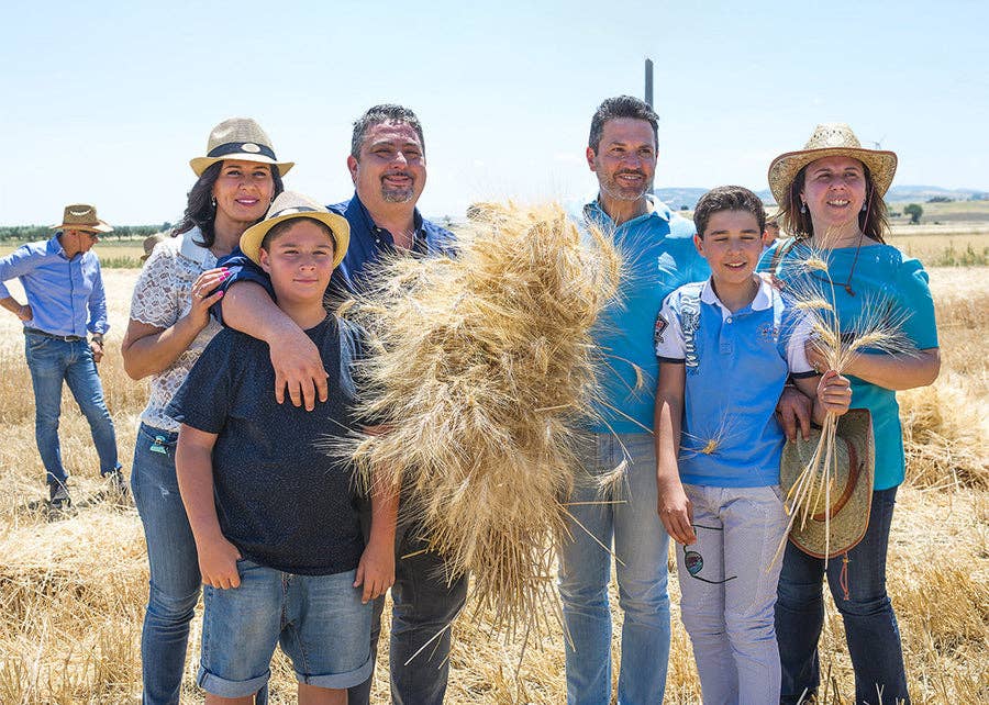 Zia Pia - Wholesale Pasta - Farfalle2